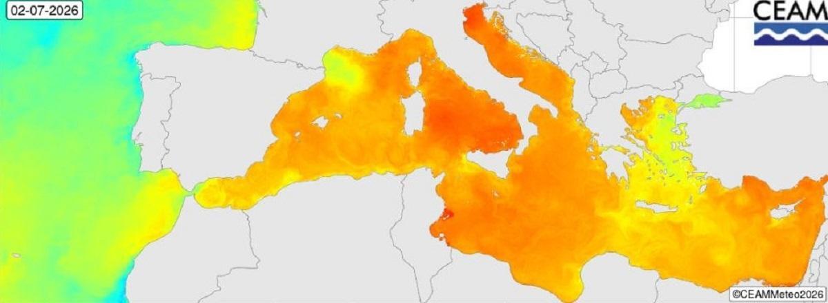 Temperatura del mar Mediterráneo a 2 de julio de 2026 con 26 grados en el litoral valenciano.