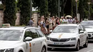 Los taxis de Palma y Calvià acuerdan unificarse para el próximo verano