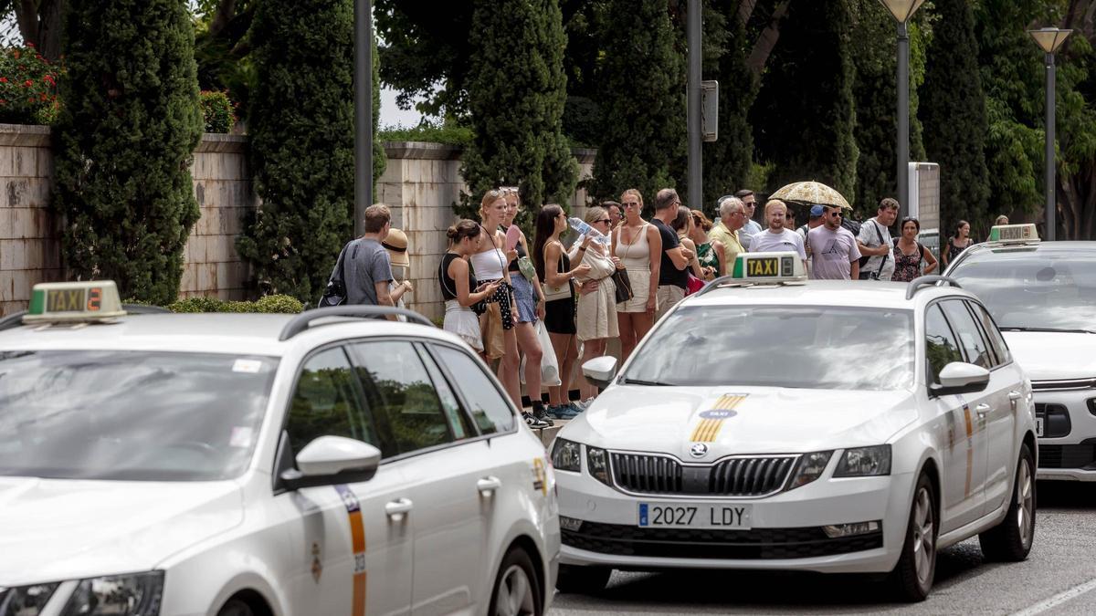 Los taxis de Palma y Calvià pretenden que su unificación se aplique este verano