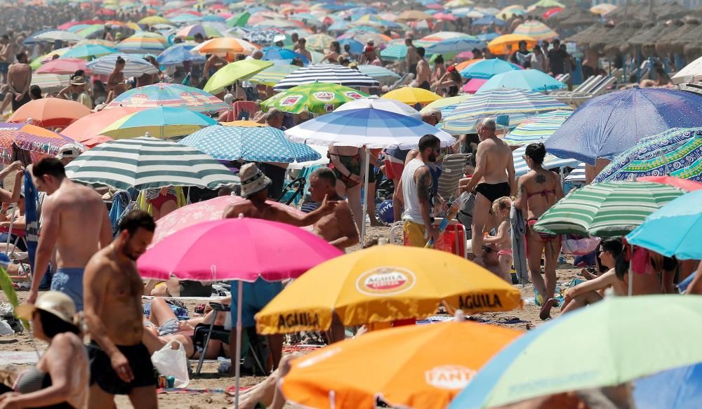 Playa de Alboraia entre la Patacona y el Carraixet