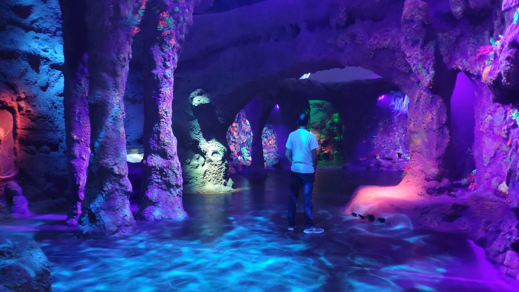 Sala EL ARRECIFENuevo recorrido temático Mar Jurásico Dinópolis.jpg