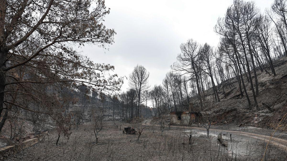 El incendio de la Vall d’Uixó ha dejado un paisaje de desolación en los términos municipales afectados.