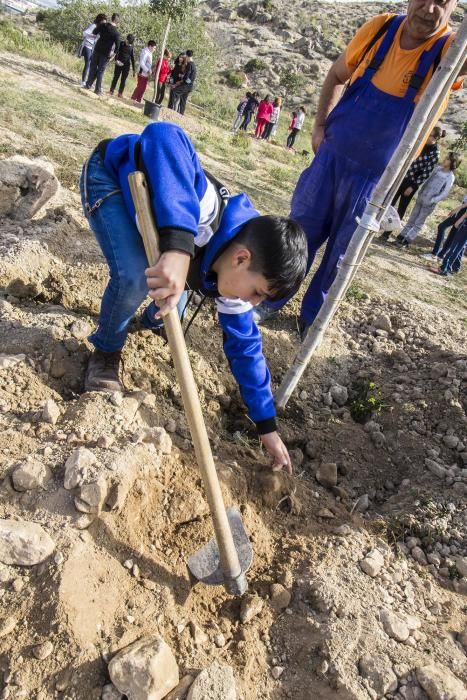 Proyecto para convertir la cantera de Cox en zona verde