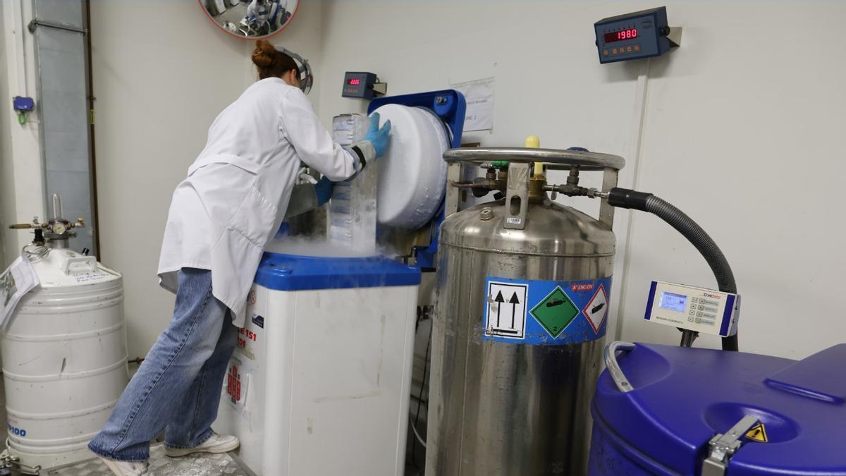 INSERCIÓN LABORAL | Ni Derecho ni ADE: las carreras con más empleo en España cuatro años después de graduarse