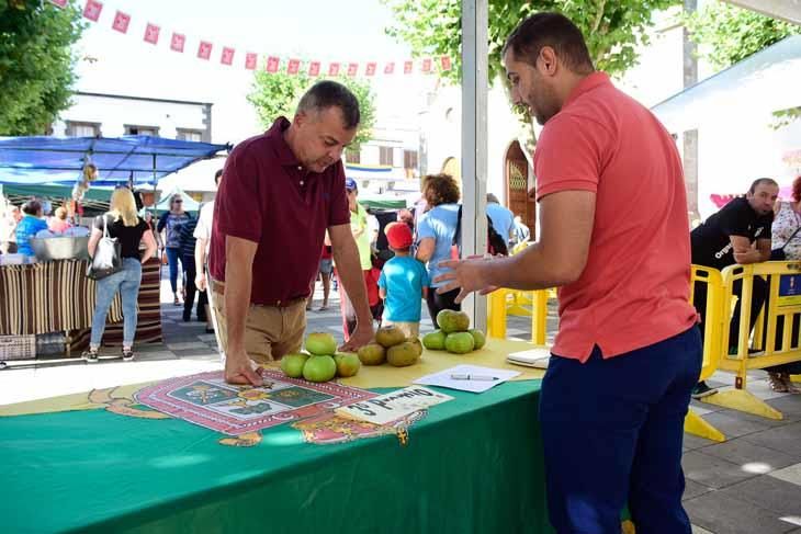 Fiesta de la manzana de Valleseco