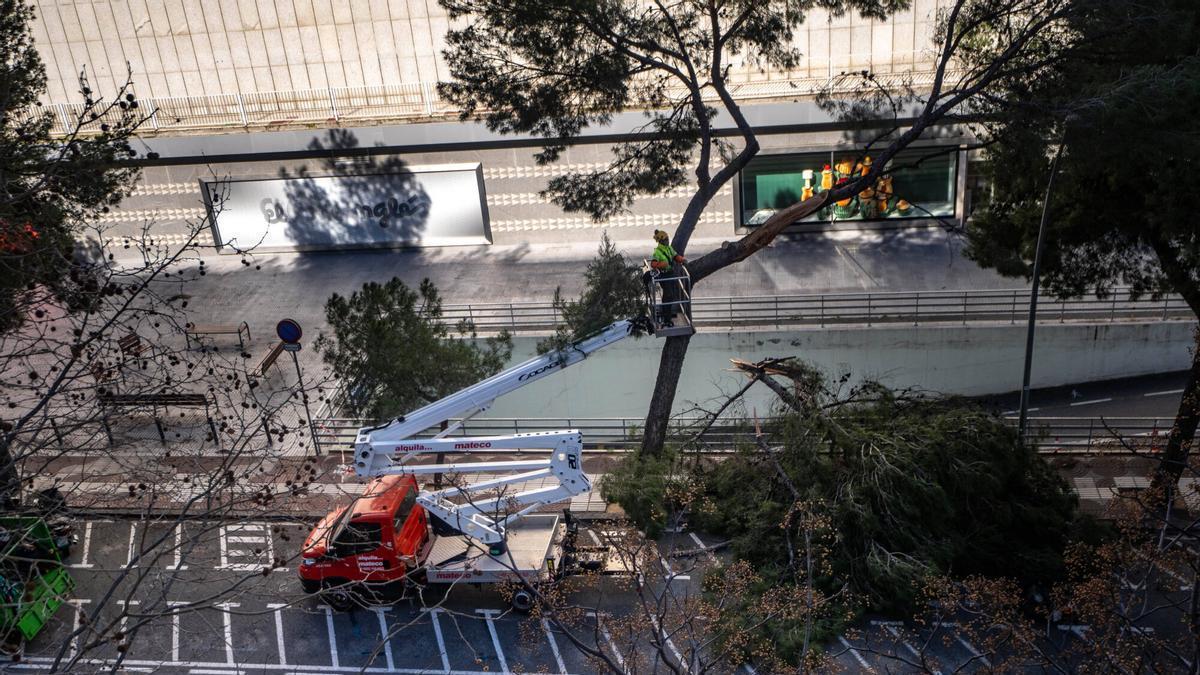 Así pasaron los vientos, según Bombers