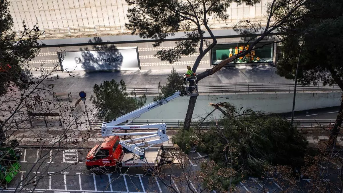El Govern justifica la alerta general por el "riesgo imprevisible" del viento ante las críticas de territorios no afectados