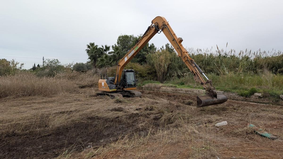 Nules treballa en la realització d’una nova llacuna al parc natural de l’estany per a la conservació d’aus migratòries.