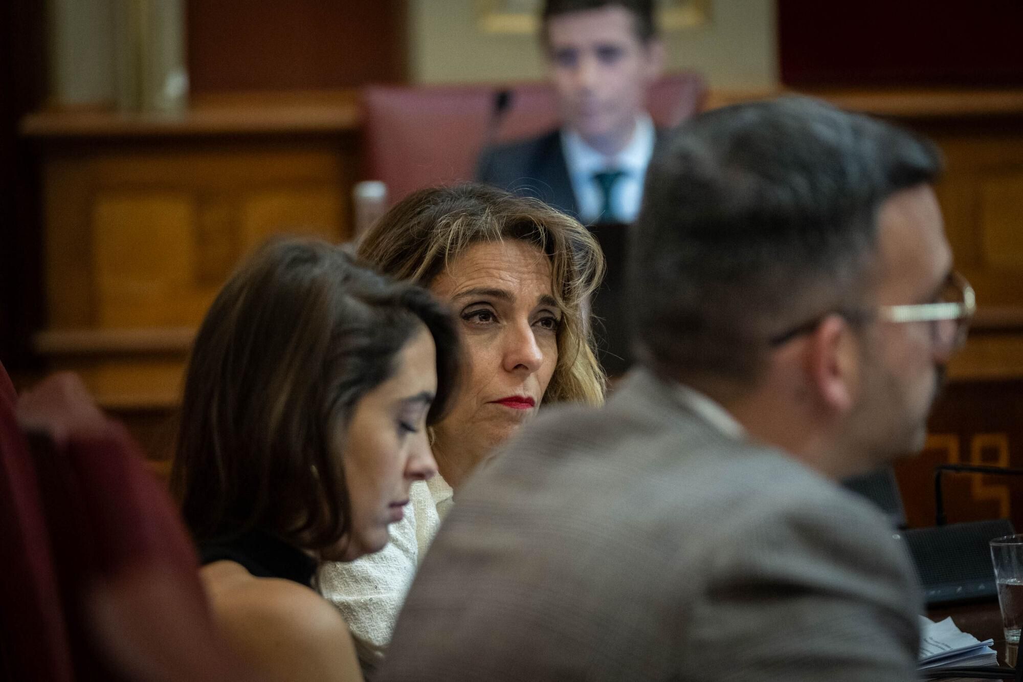 Pleno del Ayuntamiento de Santa Cruz 