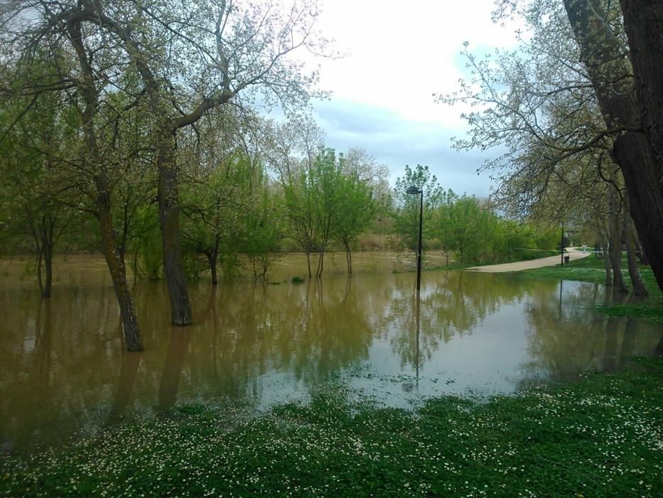 La zona de los Tres Árboles, inundada.