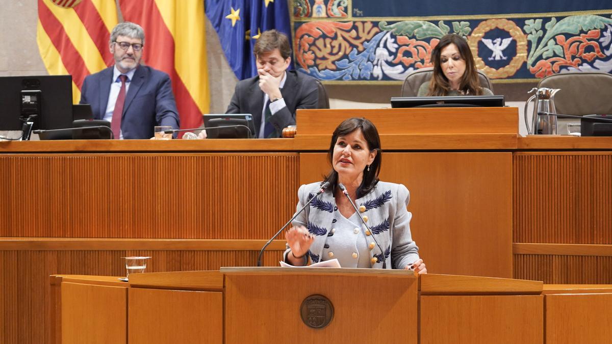 La diputada Elena Allué ha sido la encargada de presentar el dictamen.