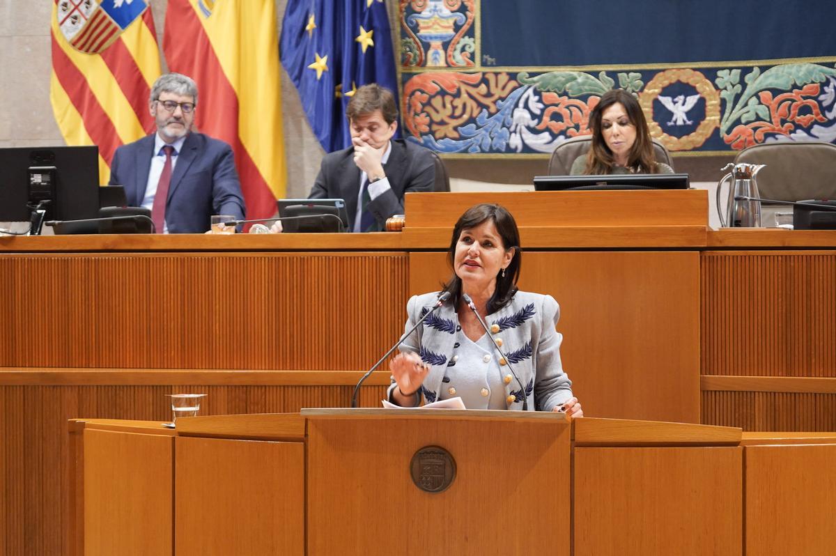 La diputada Elena Allué ha sido la encargada de presentar el dictamen.