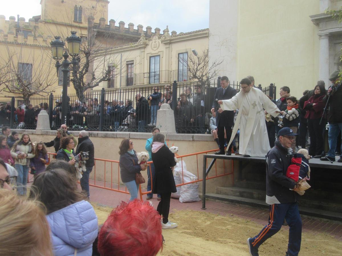 Una escena de la bendición delante de la iglesia de San Miguel.