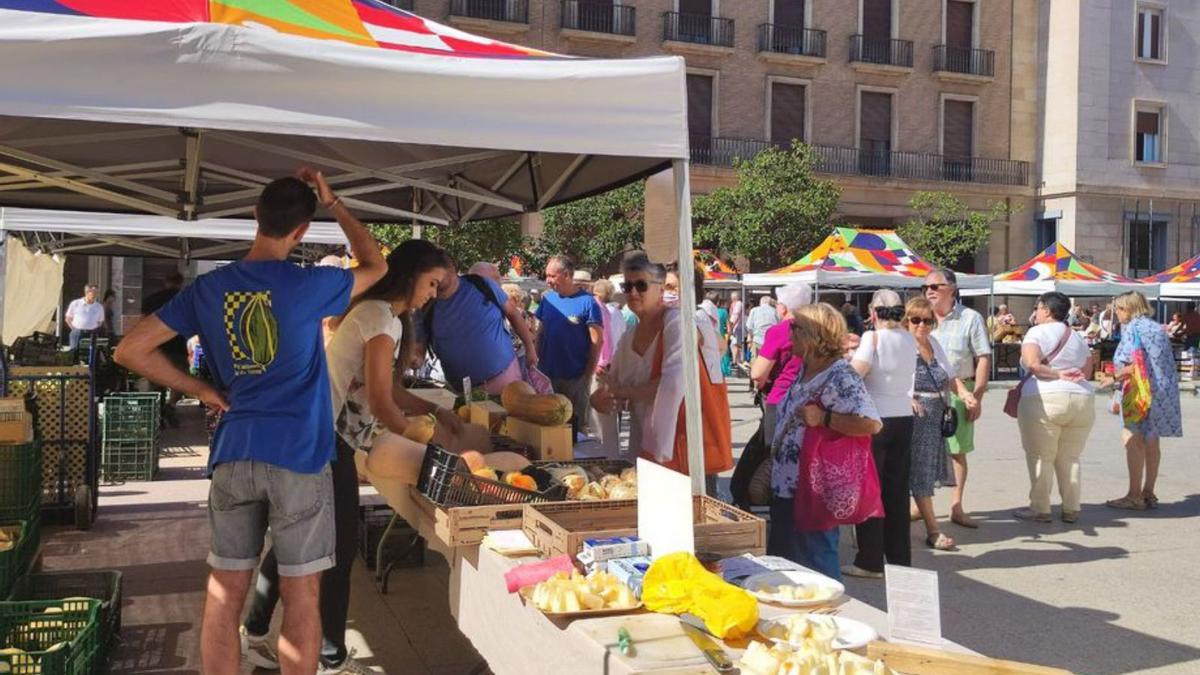 Pleitas, otro de los municipios en esta iniciativa de ADRAE y Gardeniers. | SERVICIO ESPECIAL