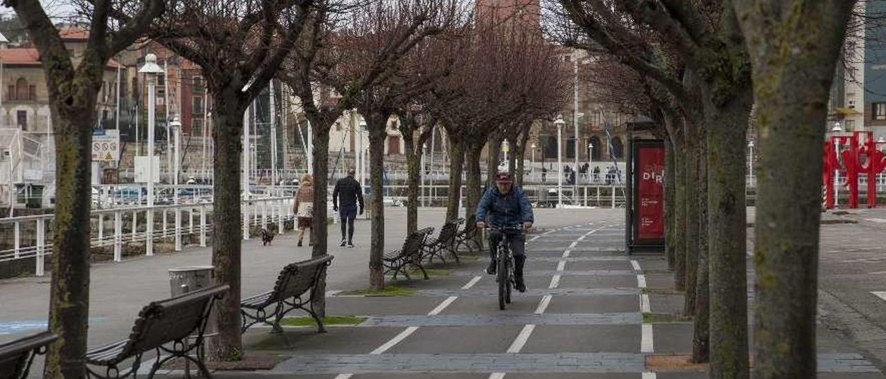 El carril bici paralelo a la calzada de la calle Rodríguez San Pedro, ayer.