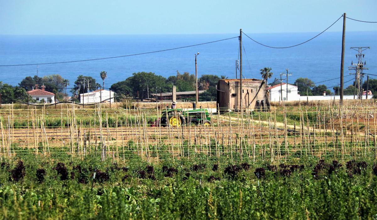 Pagesos de Mataró retreuen falta d’agilitat a l’Ajuntament davant els problemes del sector a les Cinc Sènies Pagesos de Mataró retreuen falta d’agilitat a l’Ajuntament davant els problemes del sector a les Cinc Sènies