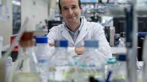 Una ‘caixa negra’ del càncer en desxifra l’origen i anticipa com evolucionarà
