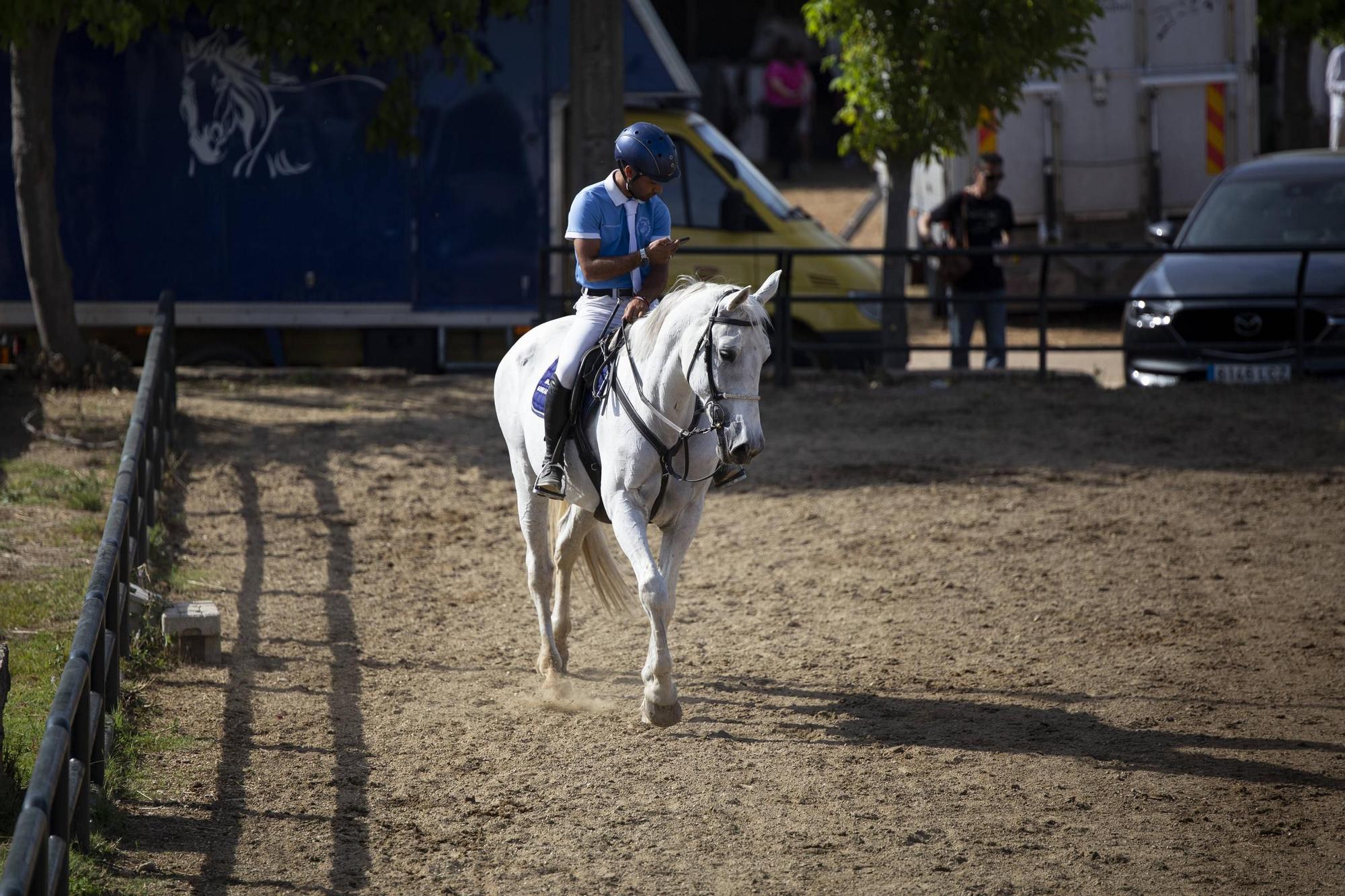 Domingo de preferia en Cáceres, en imágenes