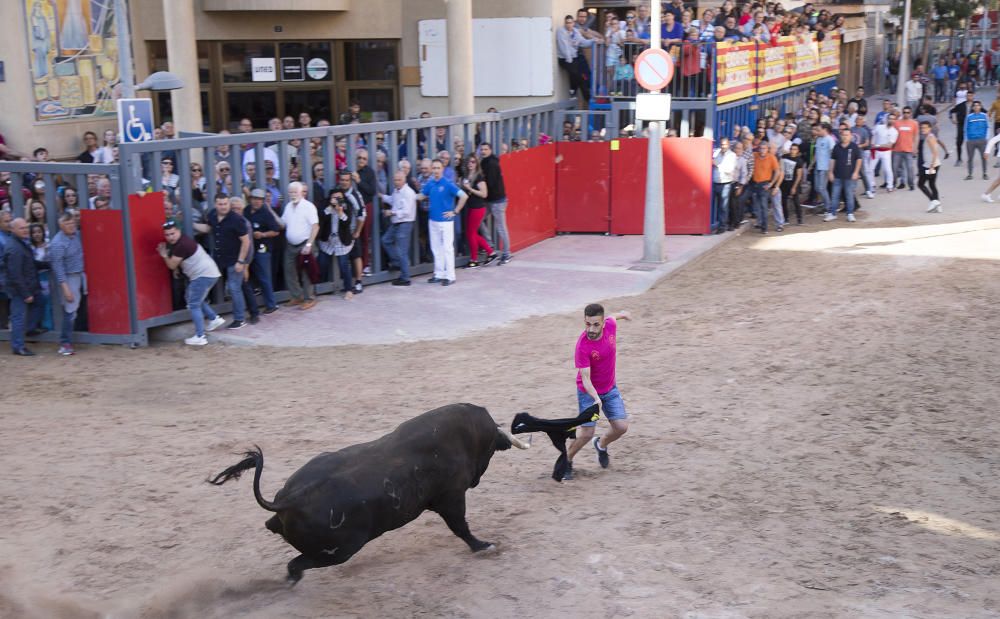 Toros y homenaje a la Tercera Edad en las fiestas de Vila-real