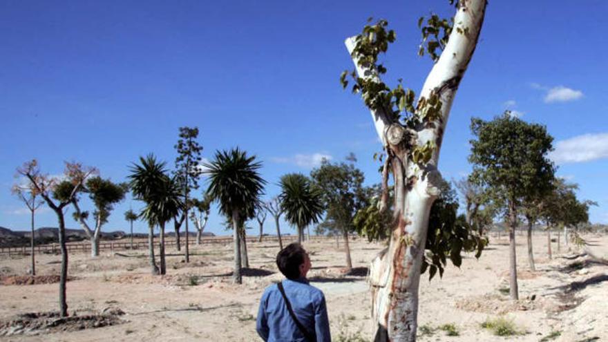 Algunos de los ejemplares que se pueden ver en el parque periurbano de La Rápita.