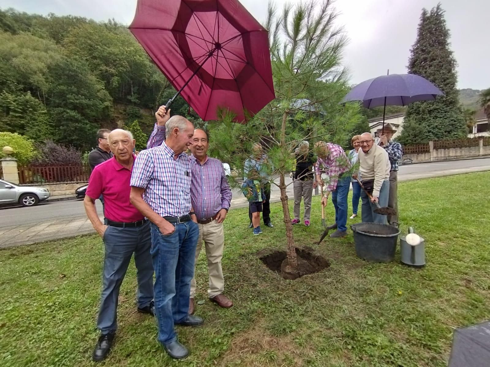 El bosque de la emigración de Langreo crece
