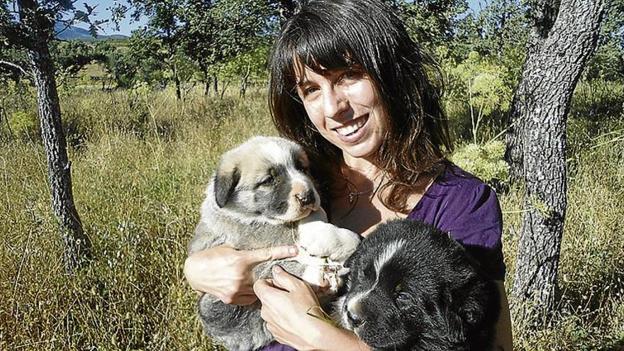 Entregan cachorros de mastín a los ganaderos