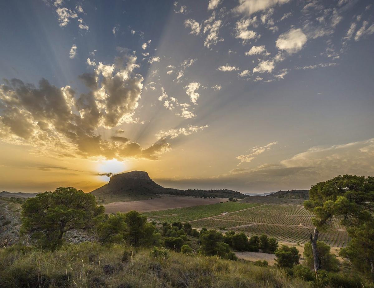 La Hermana de Jumilla y sus alrededores están llenos de viñedos, el corazón de la DO.