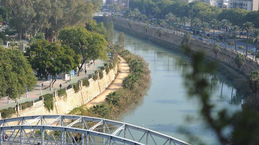 Un sendero y 4.300 árboles y arbustos gobernarán a la derecha del Segura