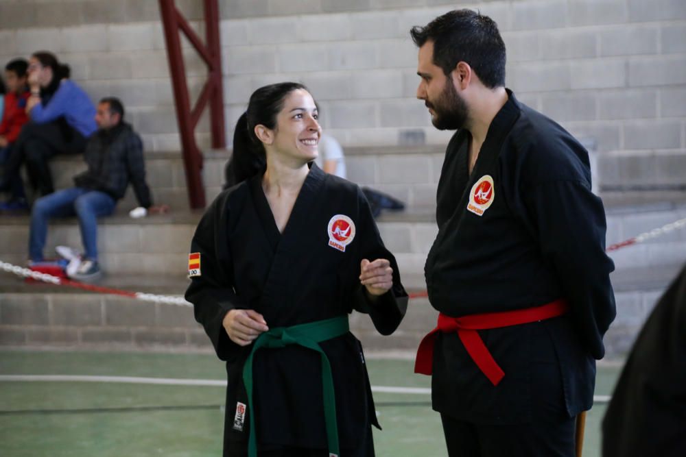 Campeonato regional de hapkido