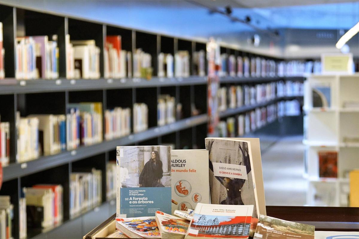 Libros apilados en la Bibloiteca Ánxel Casal
