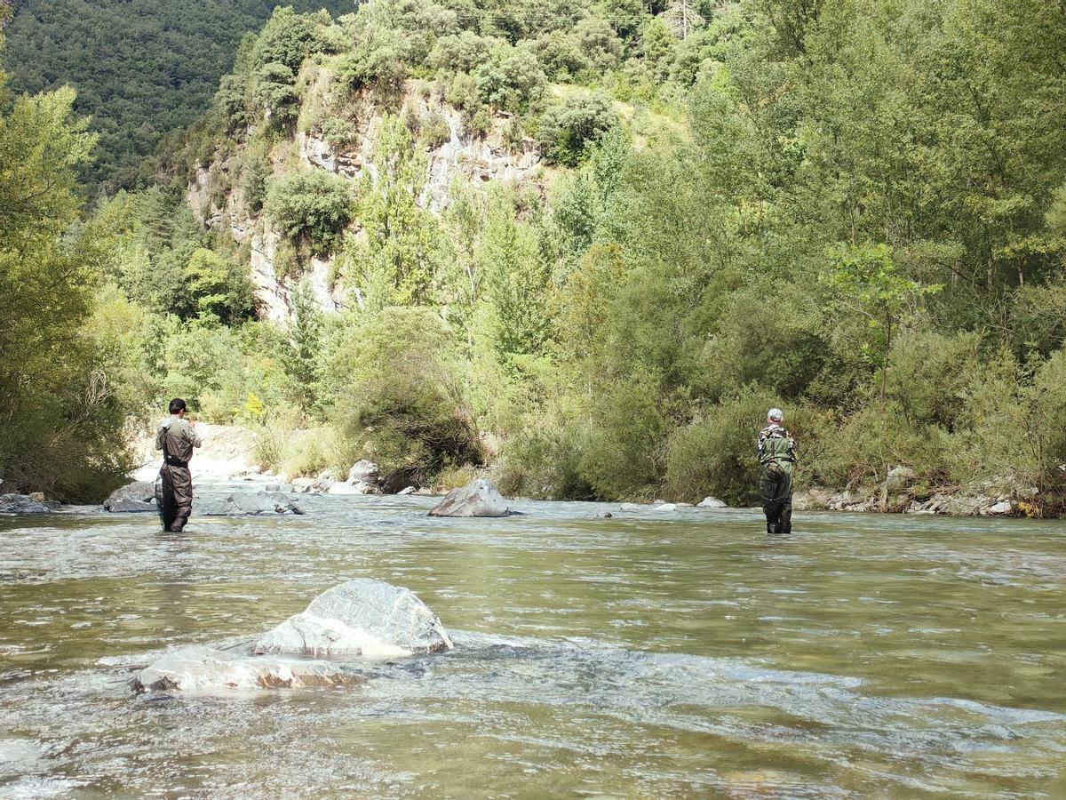 Galicia demuestra un año más su inagotable cantera de la pesca Galicia demuestra un año más su inagotable cantera de la pesca