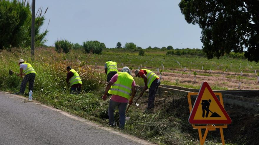 Proceso selectivo para contratar a 65 con las memorias del paro agrario estival en Burriana