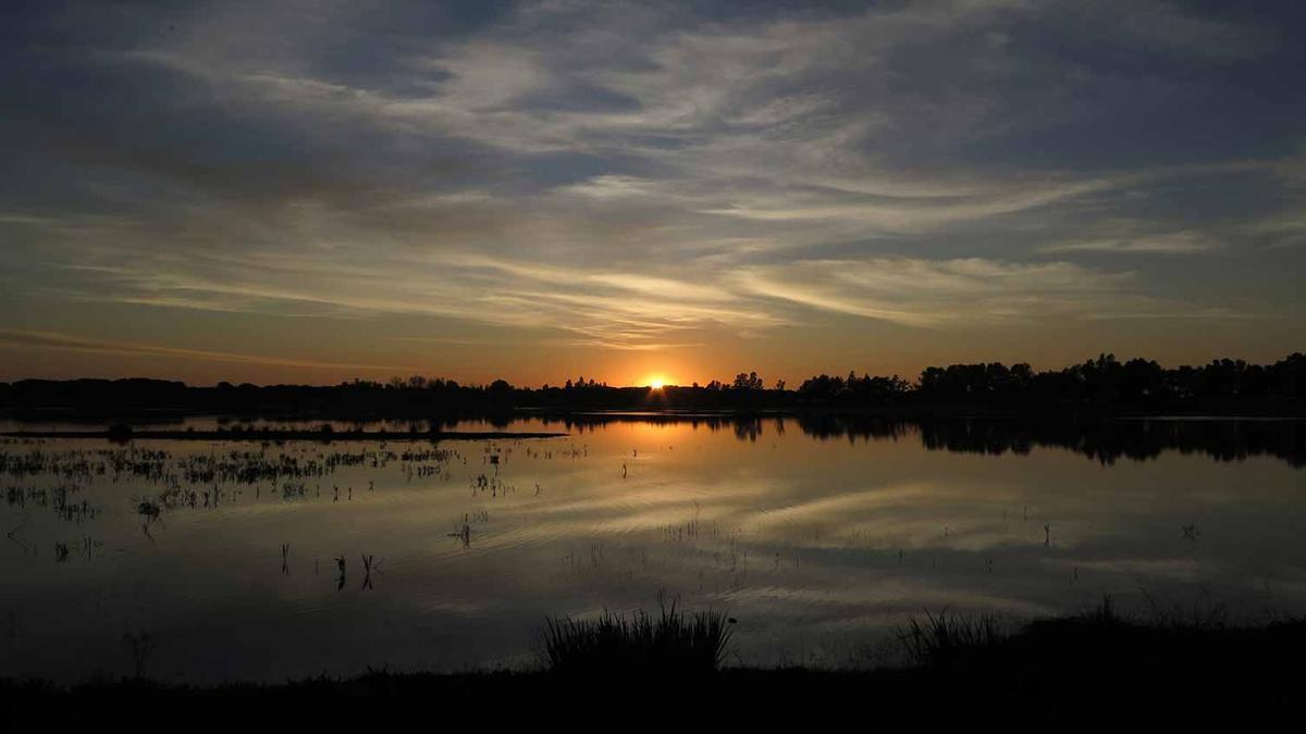 Doñana al atardecer