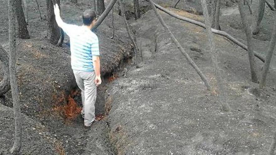 Una de les trinxeres localitzades a Maians, en una zona encara negra i plena de cendra a causa de l&#039;incendi