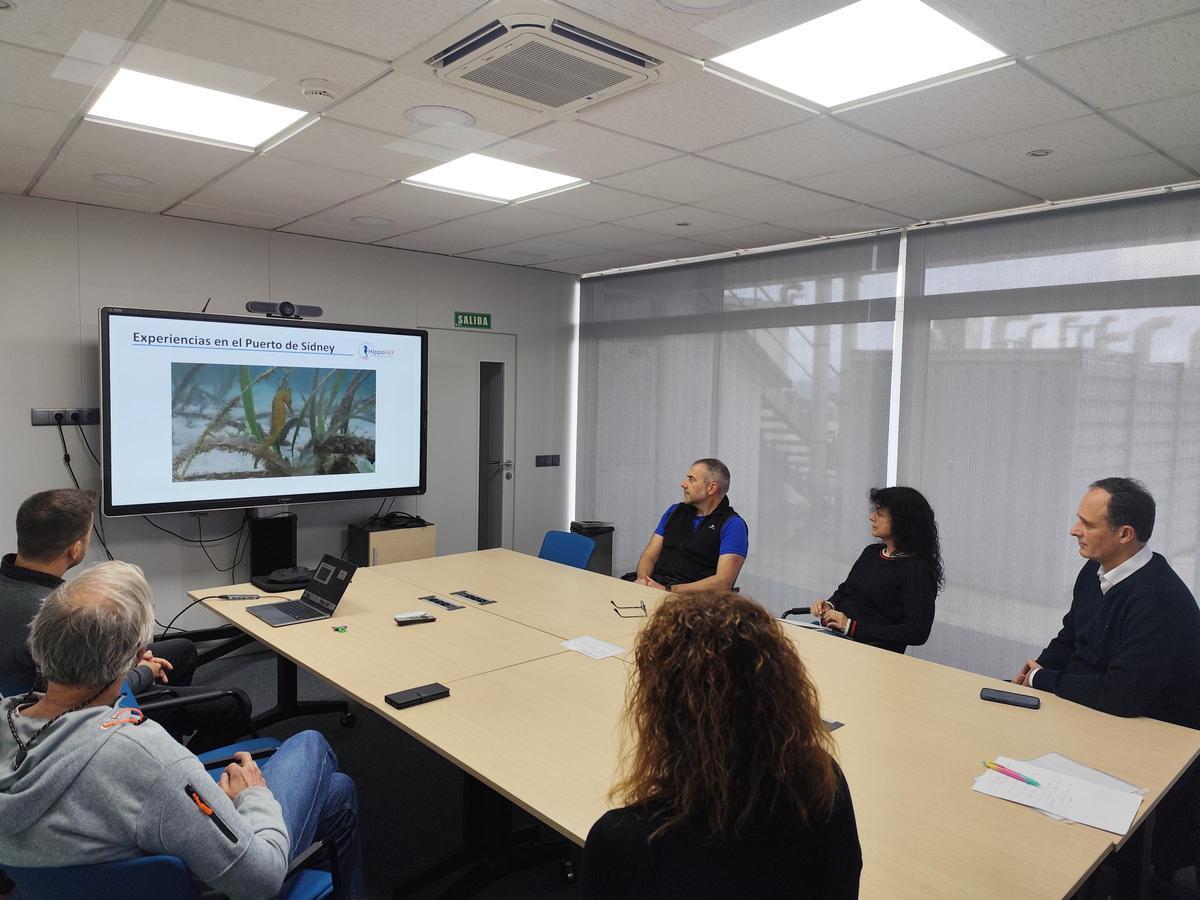 Un instante de la reunión para crear nuevos hábitats para el caballito de mar