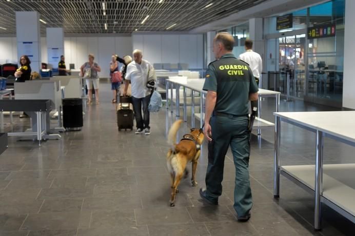 REPORTAJE UNIDAD CANINA AEROPUETO DE GRAN CANARIA