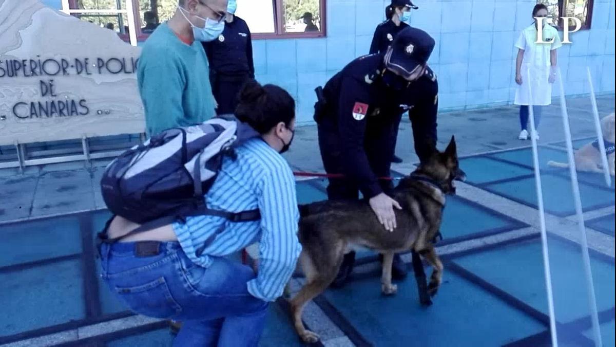 'Basco', el perro policía