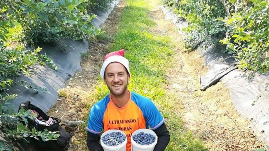 Uno de los empleos que tuvo al llegar a Australia fue el de recolectar arándanos en una plantación. Al lado, pepitas de oro. 