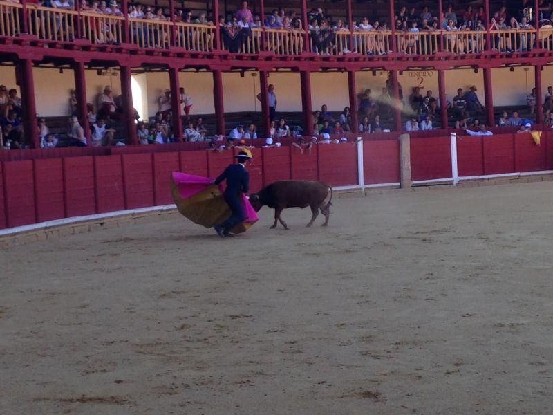 Fiestas en Toro | Becerrada de las peñas