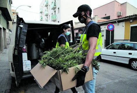 Agentes acarrean cajas con marihuana intervenida en Palma. 