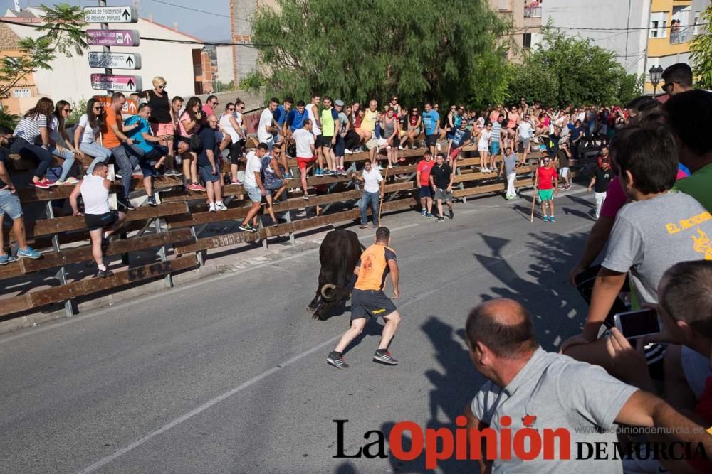 Cuarto encierro Fiestas de Moratalla