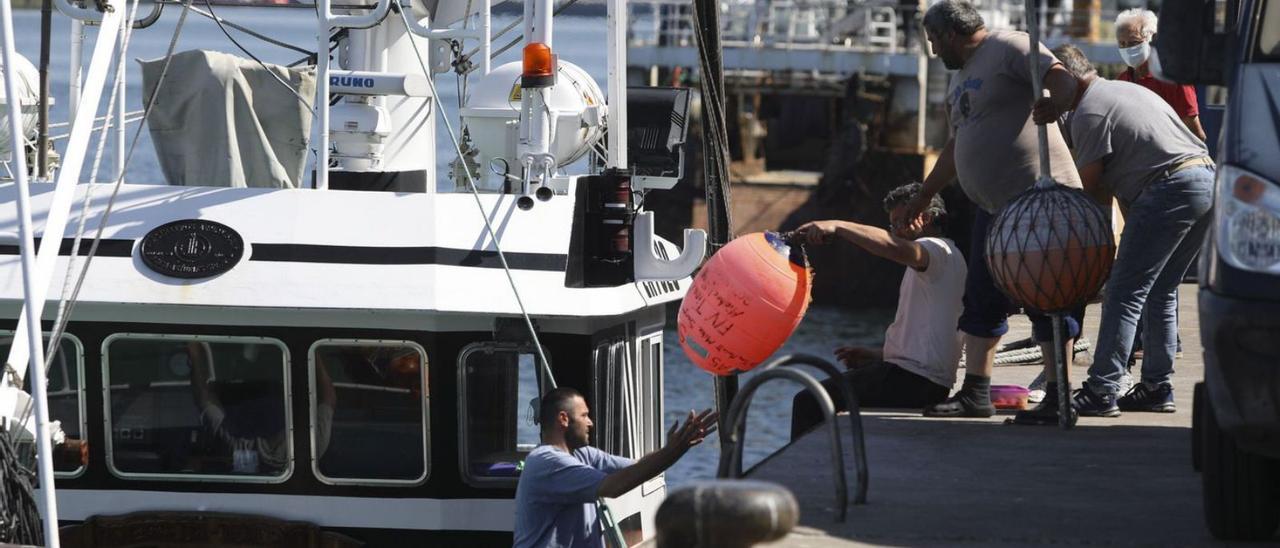 Barcos de la costera de bonito, a su llegada a puerto. | R. Solís