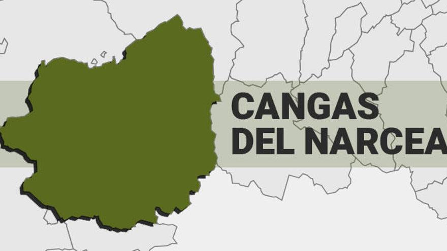 Resultados de las elecciones generales en Cangas del Narcea