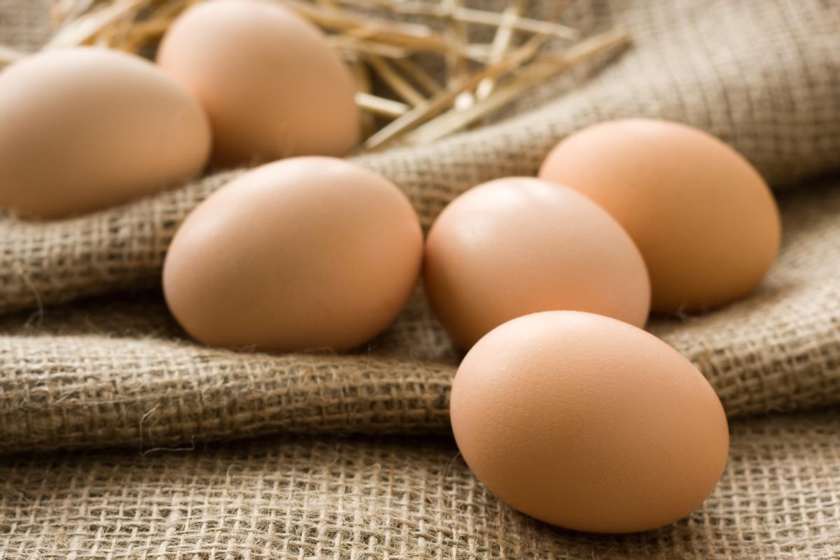 La codificación de los huevos ecológicos empieza por 0.
