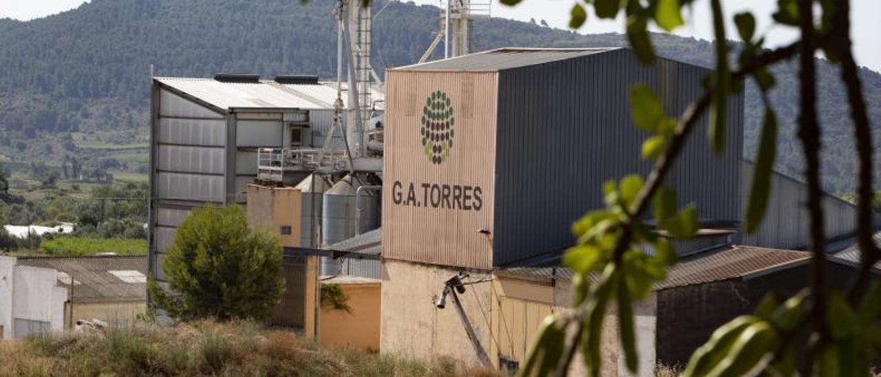 La fábrica de la familia
Torres, con un algarrobo
en primer plano.  Perales Iborra