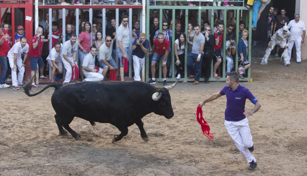 Festes del Roser en Almassora