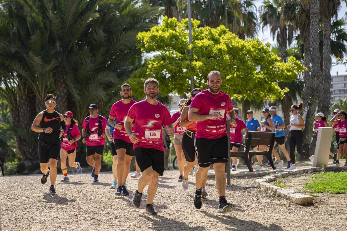 Alicante Se Moviliza Por El Alzh imer En La II Forty Run Fest Una Cita Alicante Se Moviliza Por El Alzh imer En La II Forty Run Fest Una Cita