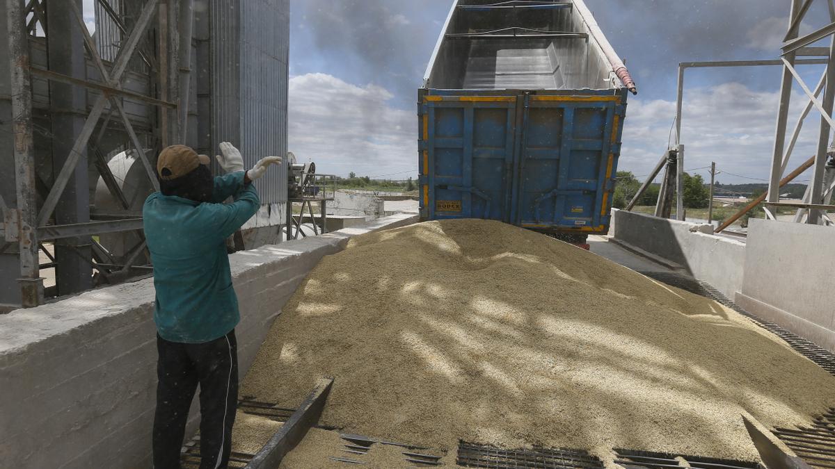 Un hombre ayudando para descargar cereal en el puerto de Odesa.