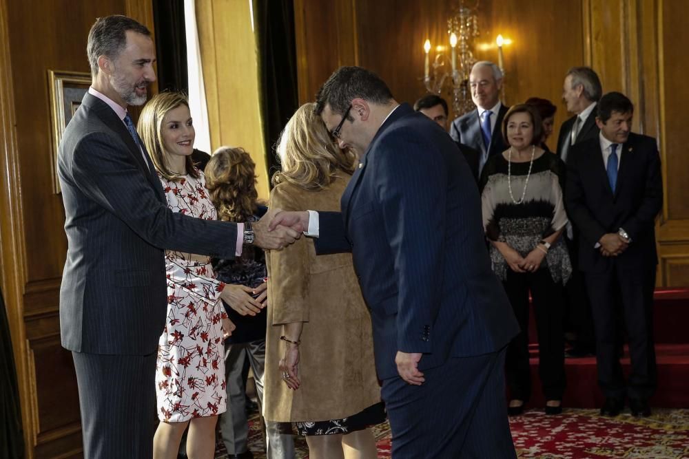 Audiencia de los Reyes con los galardonados con las Medallas de Asturias 2016