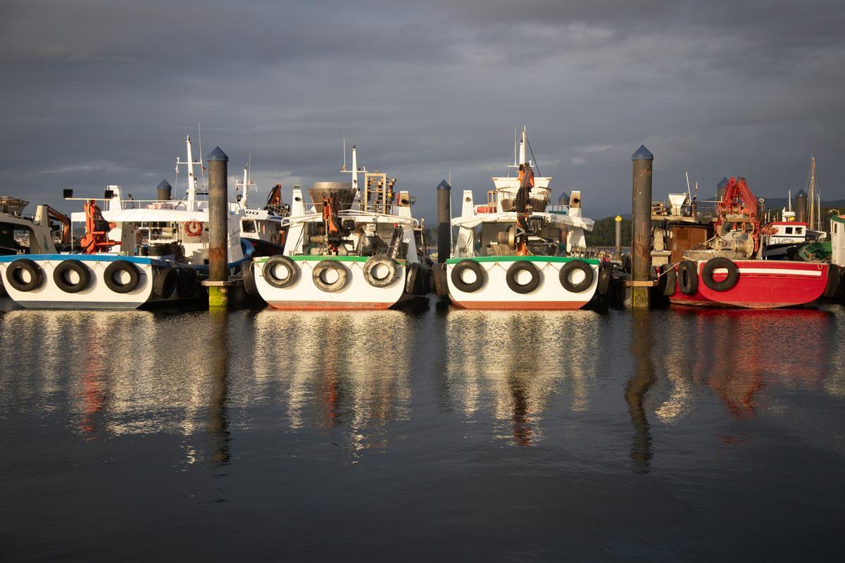 Barcos de pesca en el puerto de O Grove